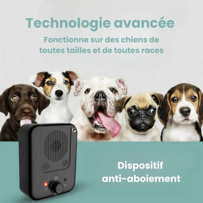 SilenceToutou - Dispositif anti-aboiement pour chien